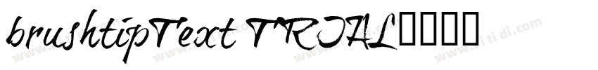 brushtipText TRIAL字体转换